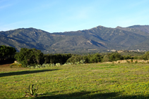 Sierra de la Albera.