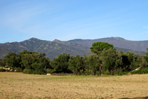 Mosaico de campos, encinares y pinares.