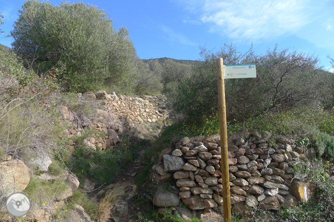 Itinerario megalítico de la Fontasia en Palau-saverdera 1 