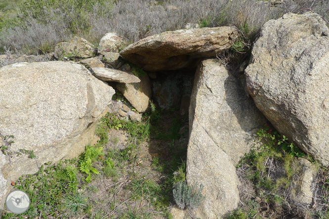 Itinerario megalítico de la Fontasia en Palau-saverdera 1 