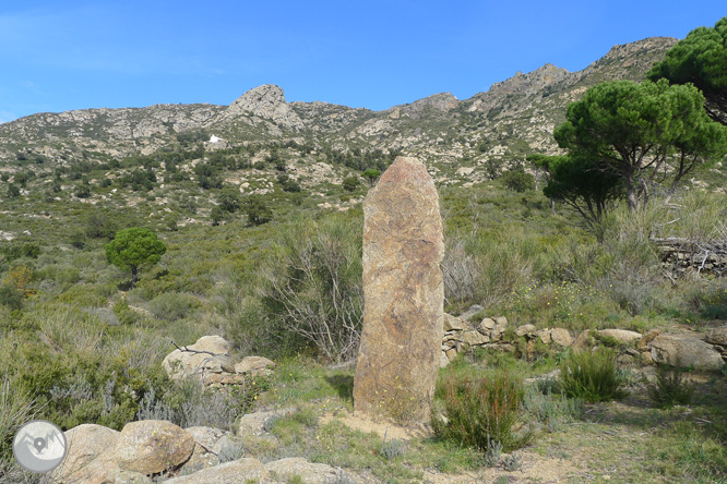 Itinerario megalítico de la Fontasia en Palau-saverdera 1 