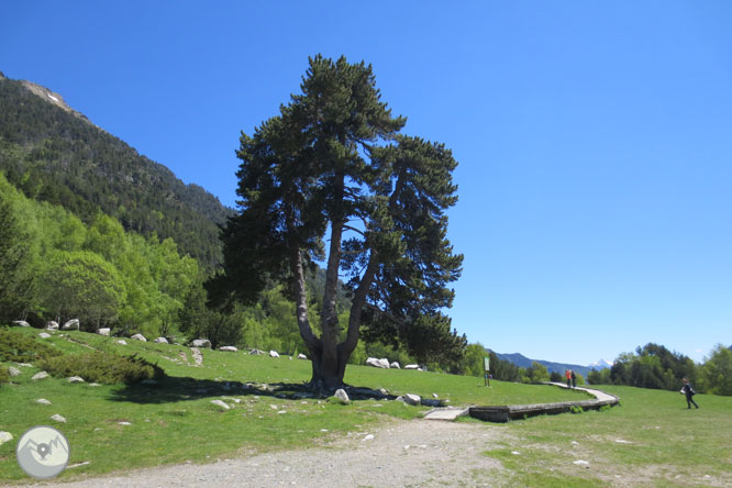 Itinerario adaptado al lago de Sant Maurici 1 