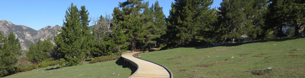 Itinerario adaptado hasta el mirador de Els Orris