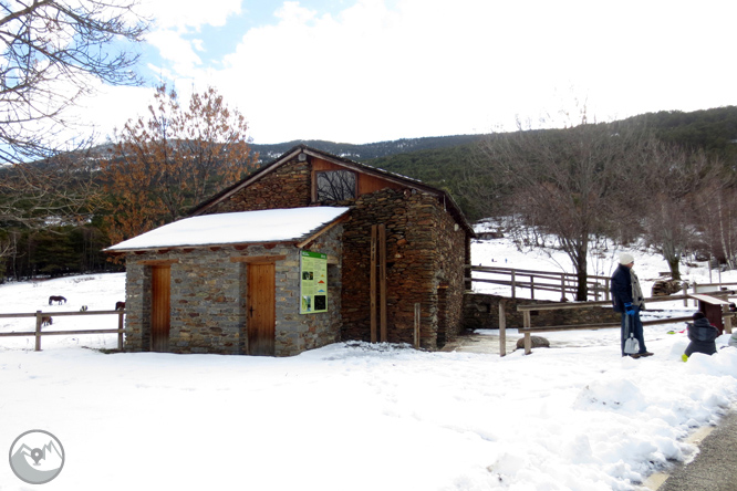 Itinerario por el Bosque de Virós 1 