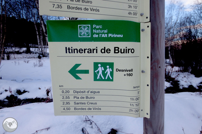 Itinerario por el Bosque de Virós 1 