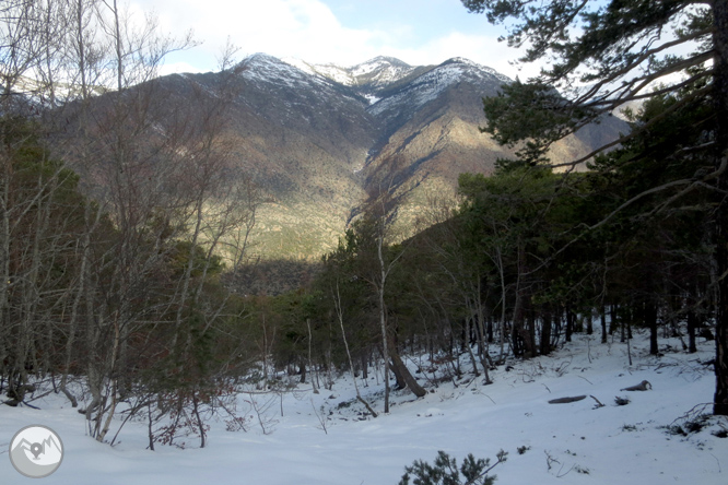 Itinerario por el Bosque de Virós 1 