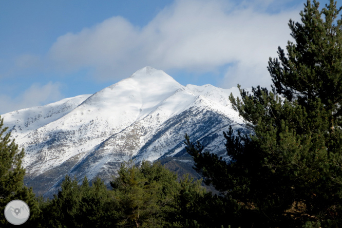 Itinerario por el Bosque de Virós 1 