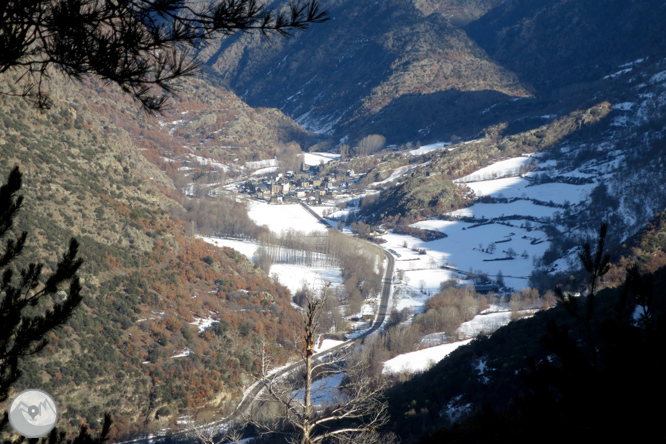 Itinerario por el Bosque de Virós 1 