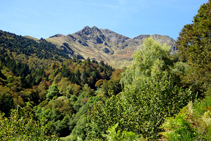 Cromatismos del otoño en el Clòt de Sacauva.