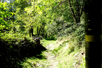 Bajando por el camino de las bordas del Cap dels Camps.