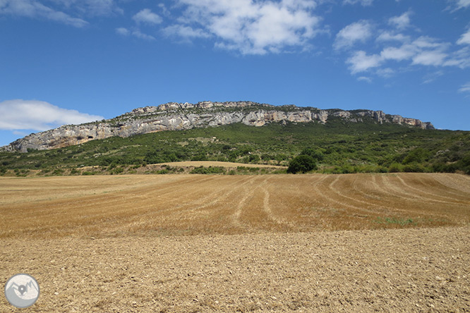 La Foz de Lumbier (paseo corto) 1 