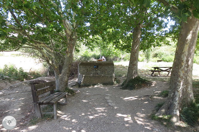 La Foz de Lumbier (paseo corto) 1