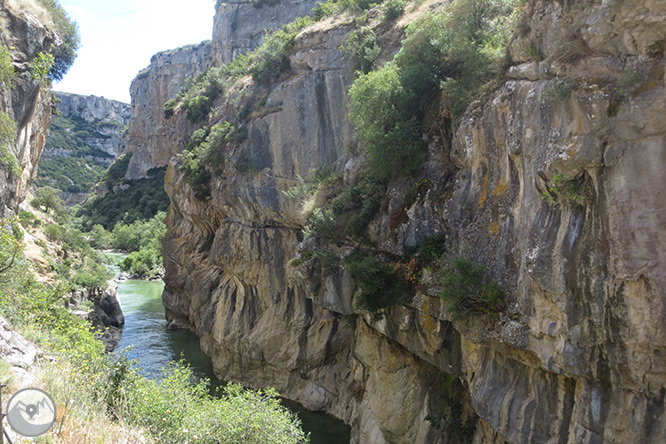 La Foz de Lumbier (paseo corto) 1 