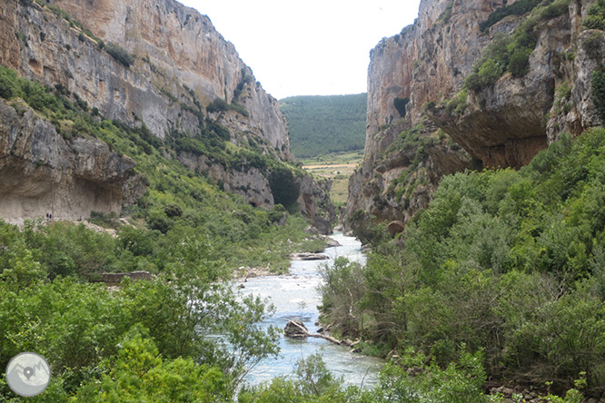 La Foz de Lumbier (paseo corto) 1