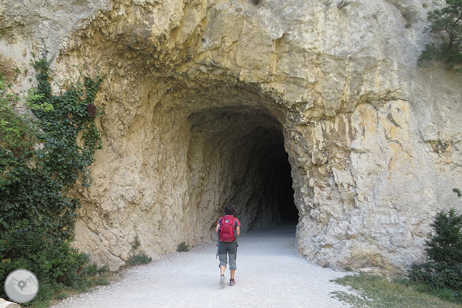 La Foz de Lumbier (paseo corto) 1 