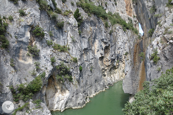 La Foz de Lumbier (paseo corto) 1