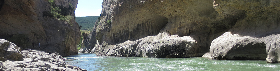 La Foz de Lumbier (paseo corto)