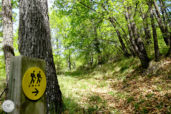 La Geganta Adormida, itinerario histórico por el Pla de Corts 1 