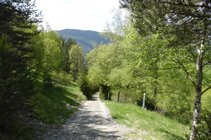 Llegando a la carretera de la Gonarda.