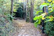 Camino de las Molleres.