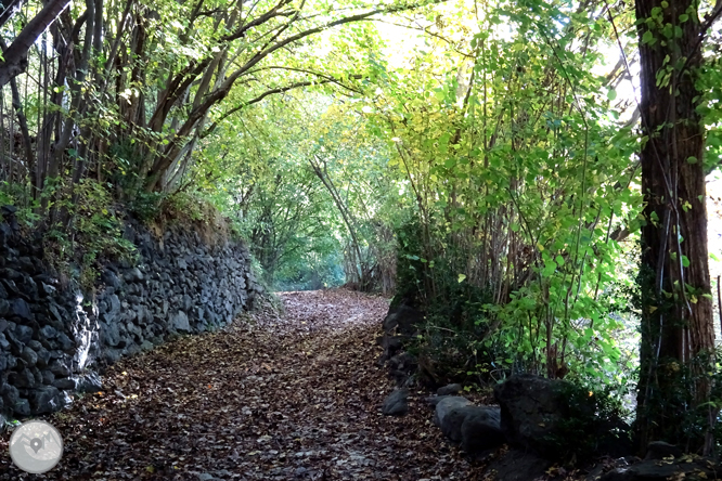 De la Massana al collado del Estall por el camino del Solà 1 