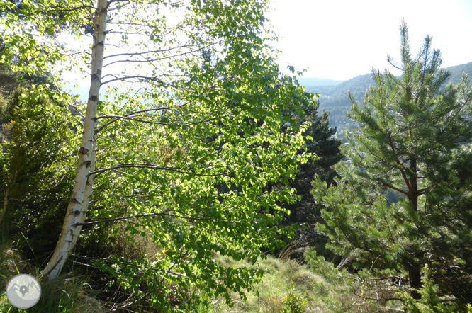 De la Massana al collado del Estall por el camino del Solà 1 