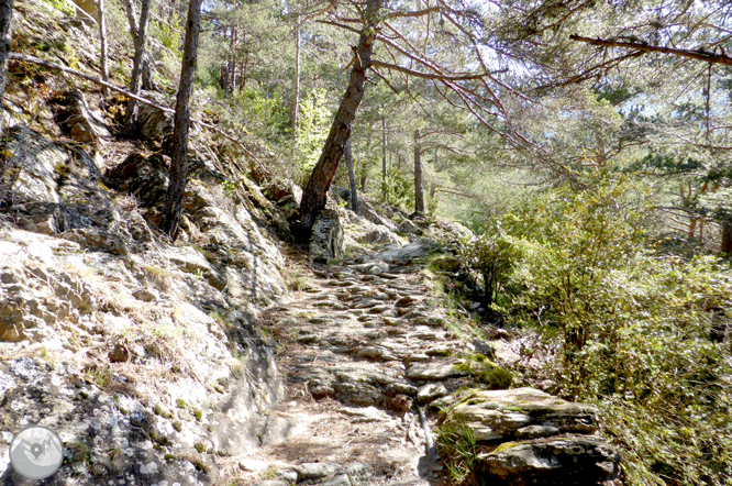 De la Massana al collado del Estall por el camino del Solà 1 