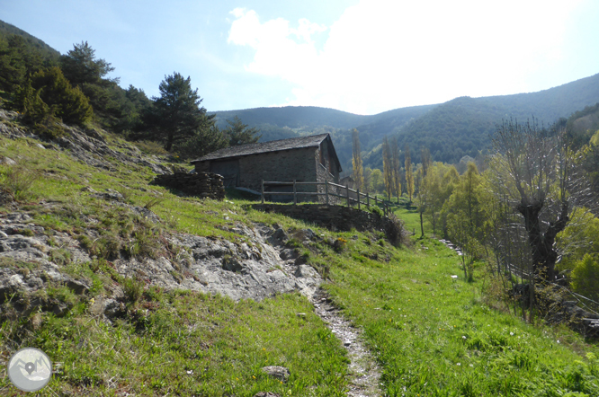 De la Massana al collado del Estall por el camino del Solà 1 