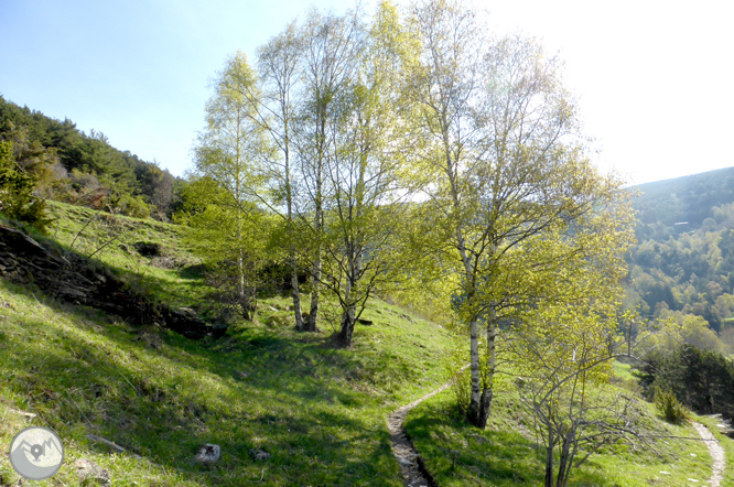 De la Massana al collado del Estall por el camino del Solà 1 