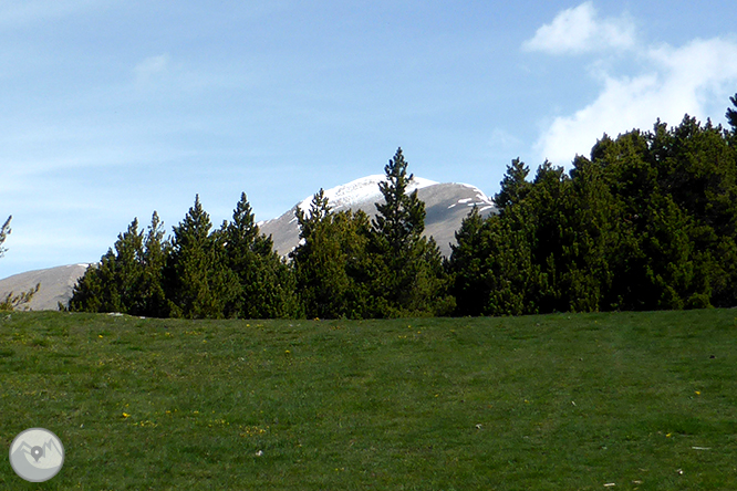 De la Massana al collado del Estall por el camino del Solà 1 