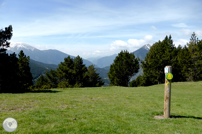 De la Massana al collado del Estall por el camino del Solà 1 