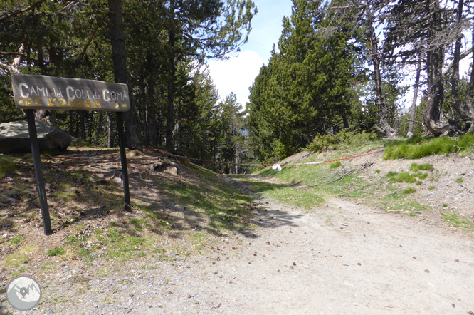 De la Massana al collado del Estall por el camino del Solà 1 