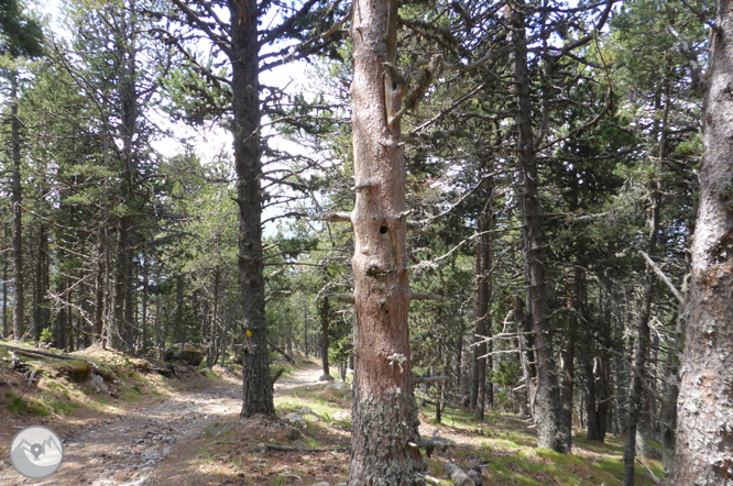 De la Massana al collado del Estall por el camino del Solà 1 