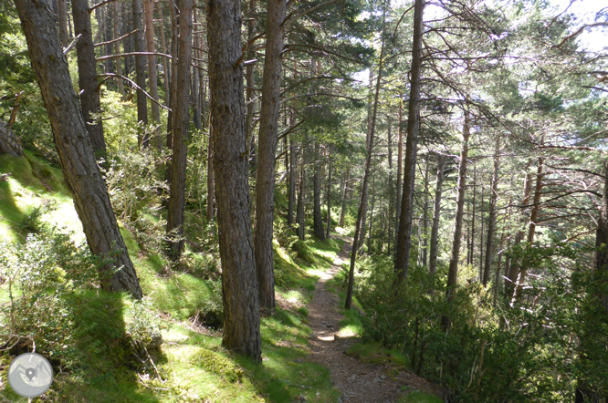 De la Massana al collado del Estall por el camino del Solà 1 