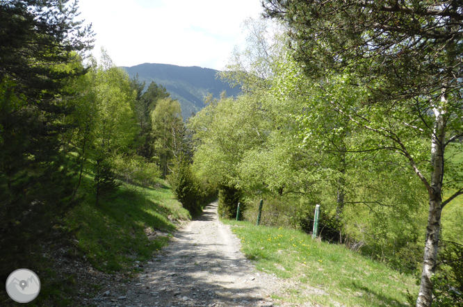 De la Massana al collado del Estall por el camino del Solà 1 