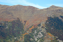 Las tonalidades ocres del helecho en las montañas del Valle de Arán.