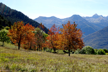 Colores de otoño en el Valle de Arán.