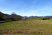 Rastrojos de maíz en el valle de Bianya.