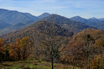 Robles en la sierra de Sant Miquel del Mont.