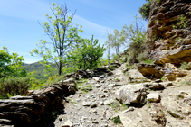 Camino de herradura hacia Sorre.