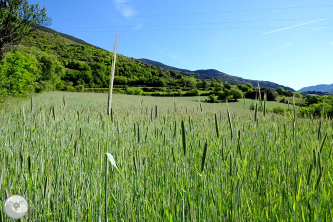 El valle de Àssua, tierra de pastores 1 