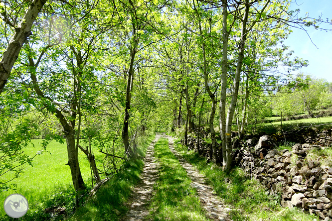 El valle de Àssua, tierra de pastores 1 