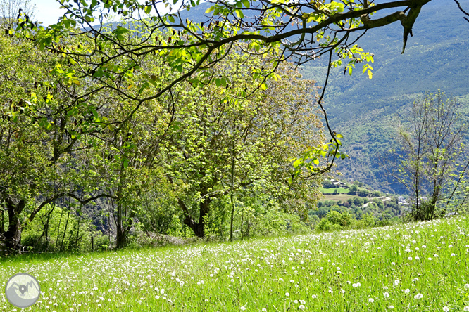 El valle de Àssua, tierra de pastores 1 