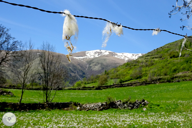 El valle de Àssua, tierra de pastores 1 