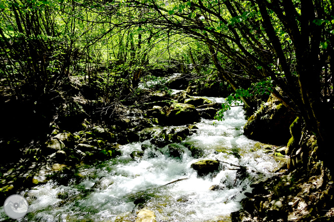 El valle de Àssua, tierra de pastores 1 