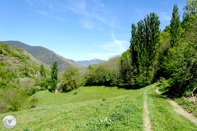 El valle de Àssua, tierra de pastores 1 