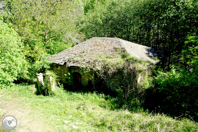 El valle de Àssua, tierra de pastores 1 