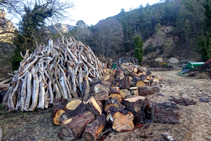 Llegando a Sant Lleïr vemos la explotación forestal de la Valldora.