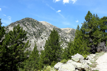 Pico de la Muga (2.860m).