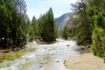 Río de la Llosa.